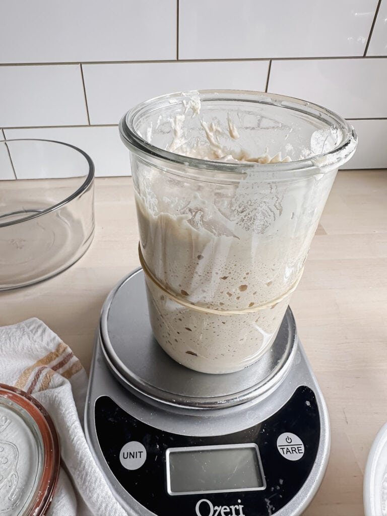 weck jar of gluten free sourdough starter that has doubled