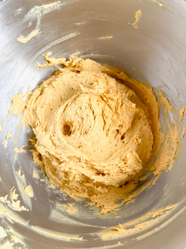 add dry ingredients and then mix well till all ingredients are combined
