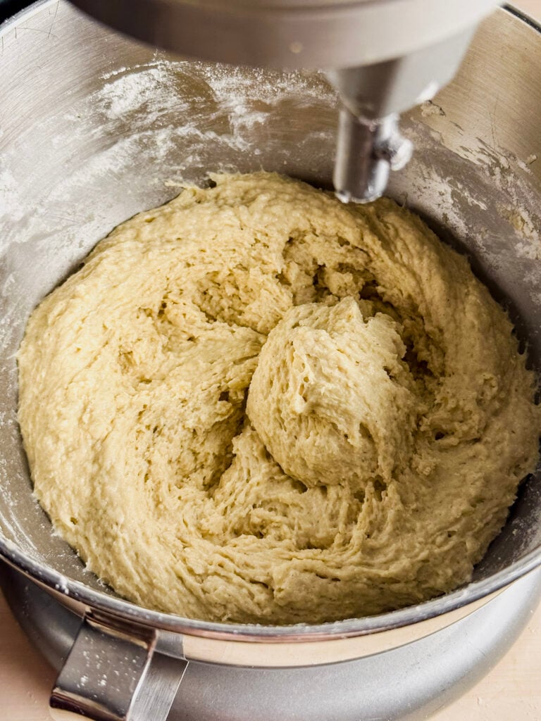 dough finished mixing in stand mixer