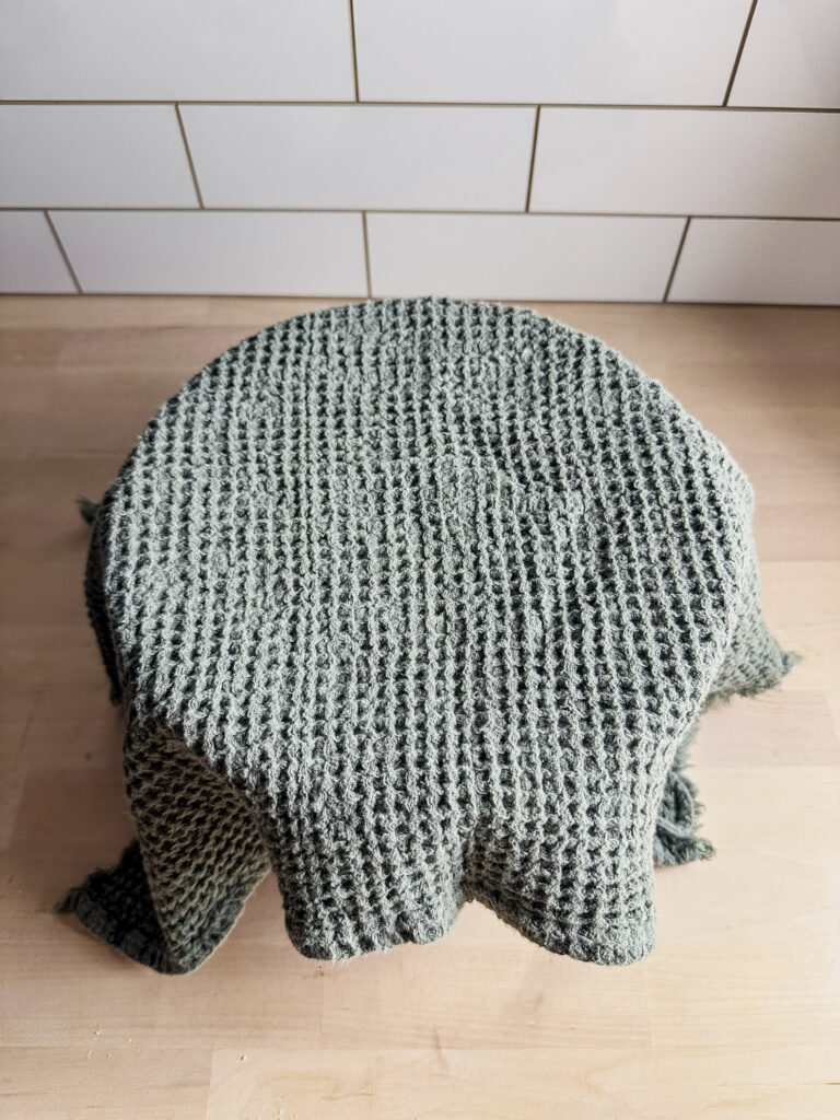 bowl covered with plastic wrap and a towel to proof overnight