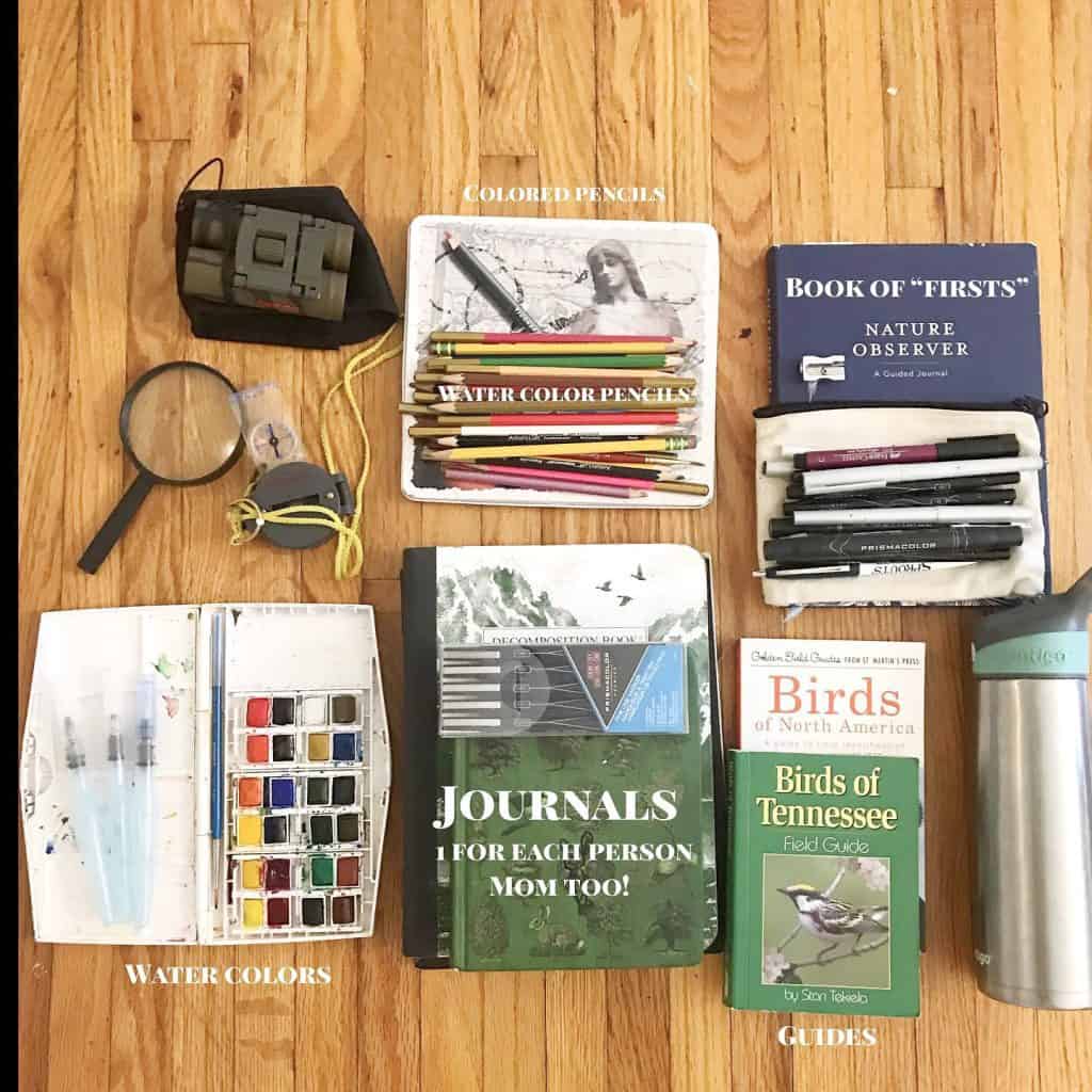 nature study materials laid out on wood