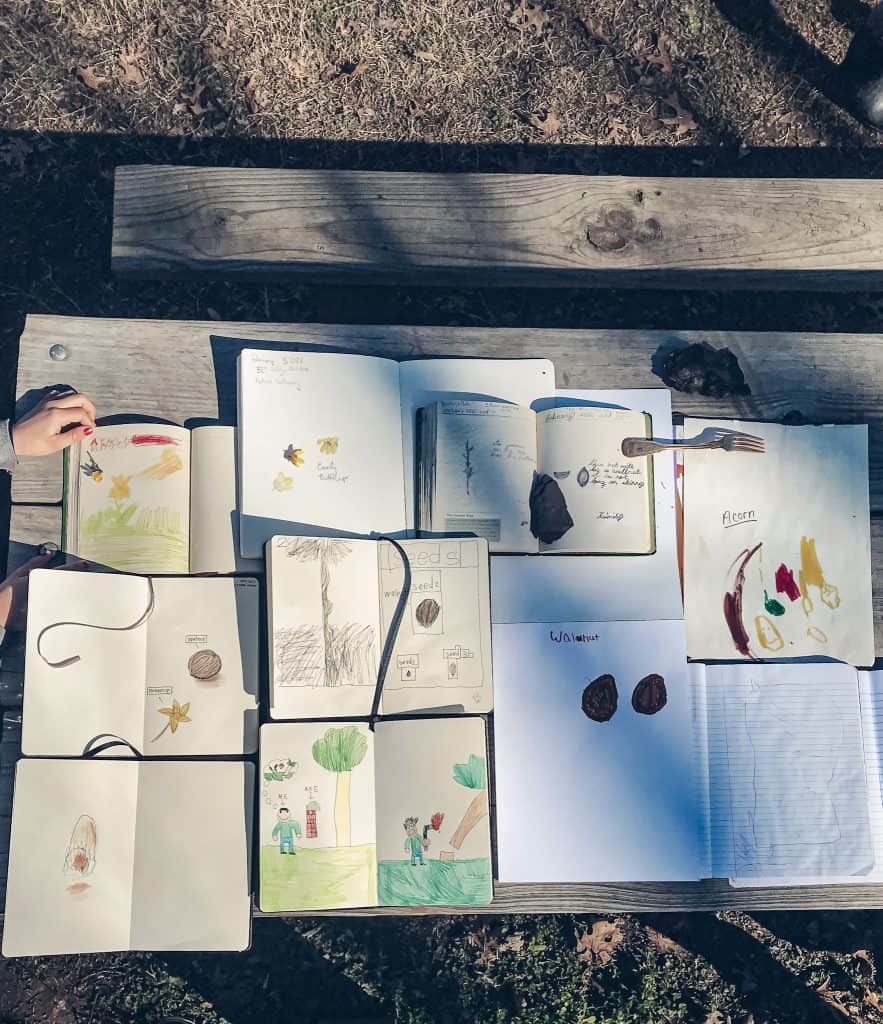 nature journals spread out with children's drawings on a picnic table