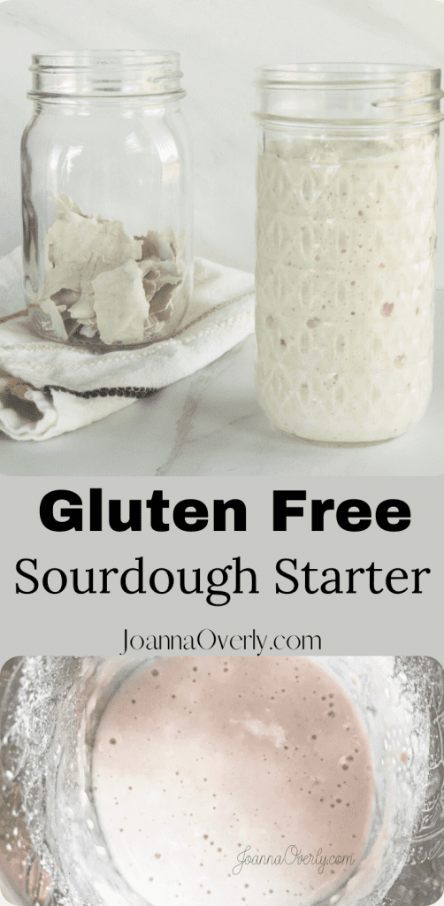 how to wake up dehydrated gluten free sourdough starter bread