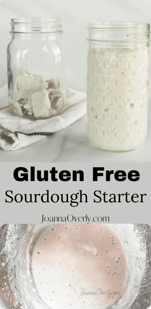 how to wake up dehydrated gluten free sourdough starter bread