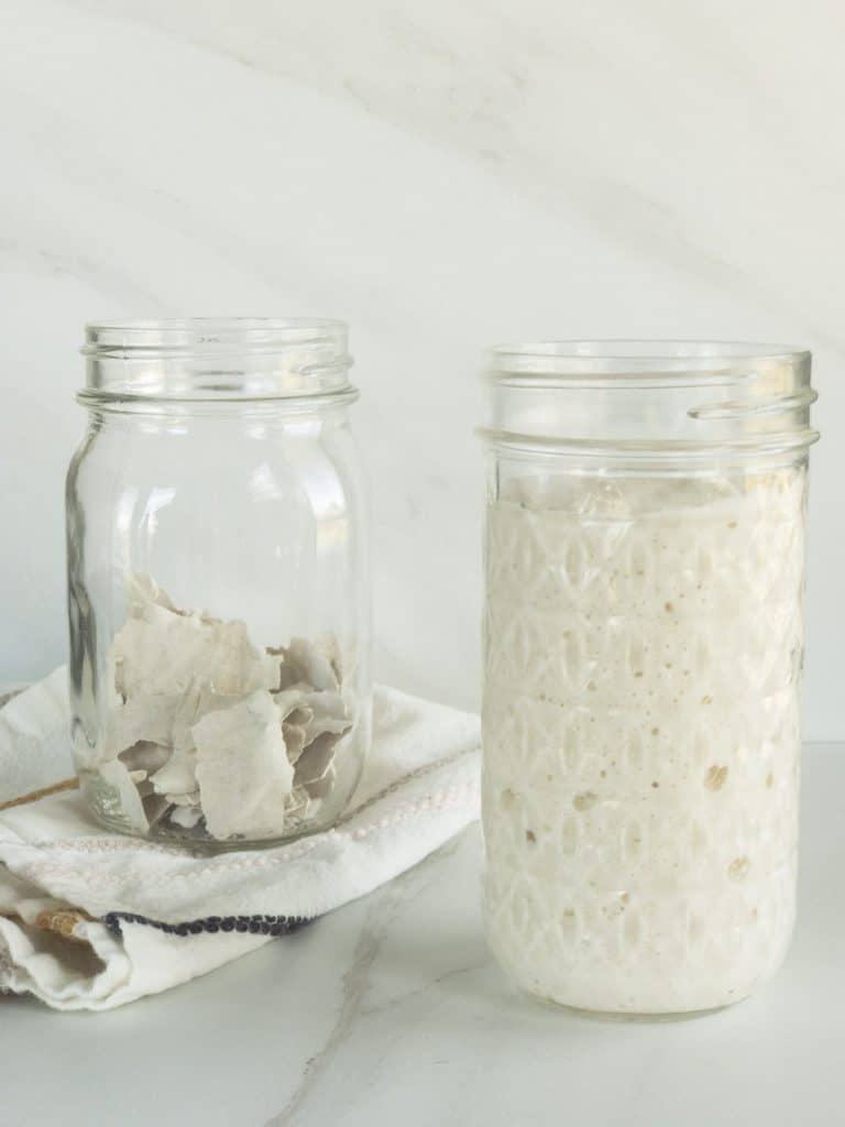 Gluten Free sourdough starter dehydrated and active starter on white marble