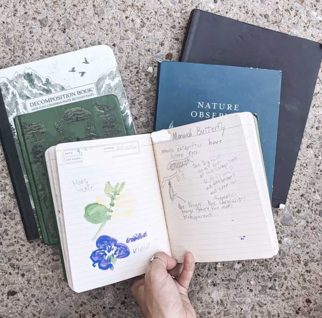 Nature Journaling for Beginners Supply List - Lily & Thistle