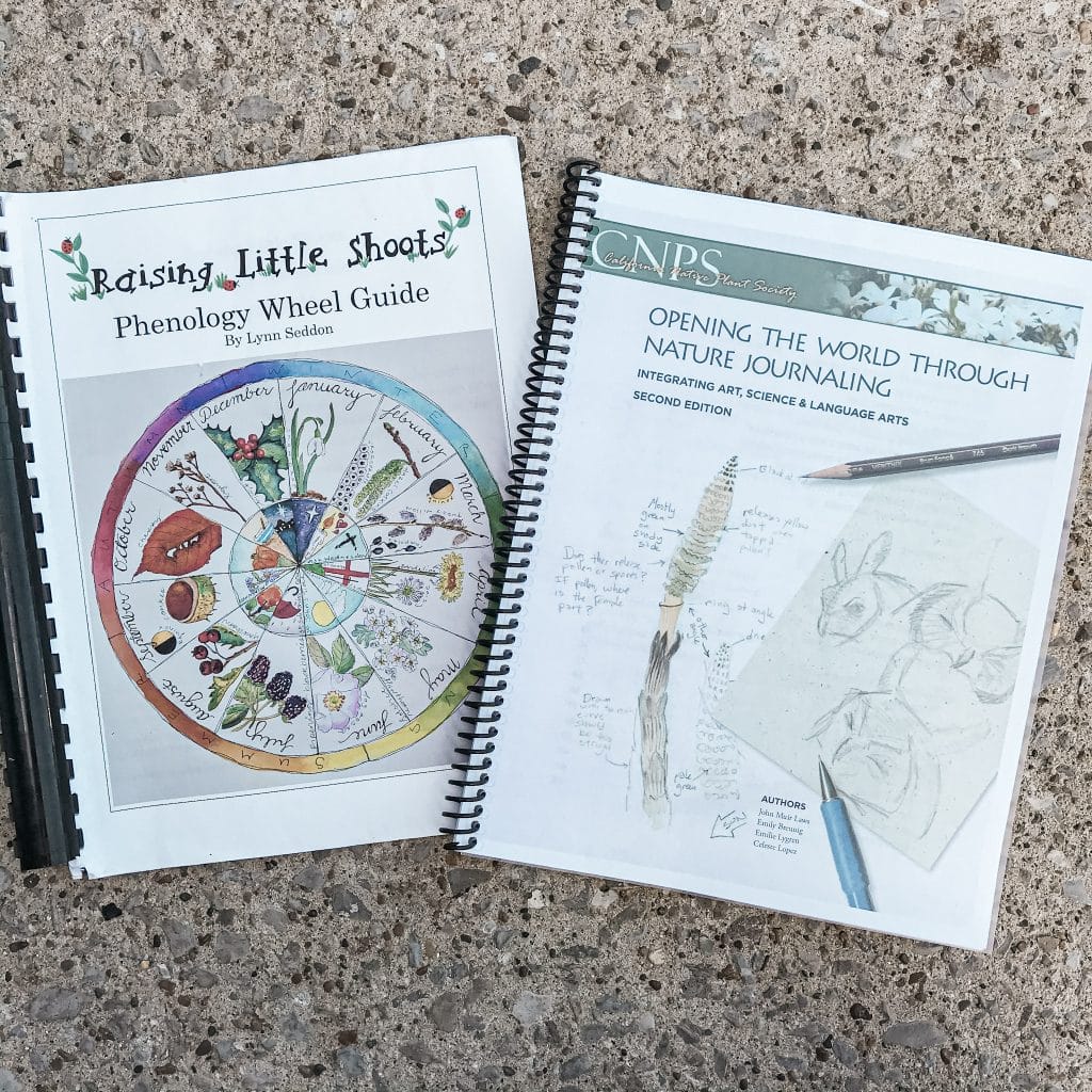 Nature Drawing and Journaling Book and Supplies Bundle