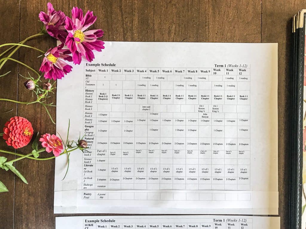 close up of AO schedule term with flowers on table top