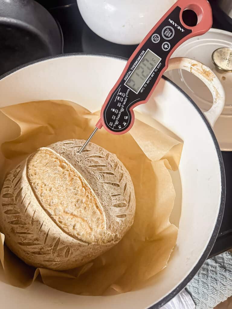 checking the internal temperature of a loaf gluten free bread