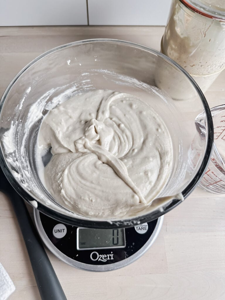 bowl of gluten free sourdough preferment