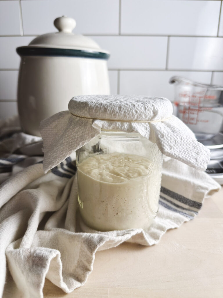 jar of gluten free sourdough sits on counter covered by a paper towel and rubber band