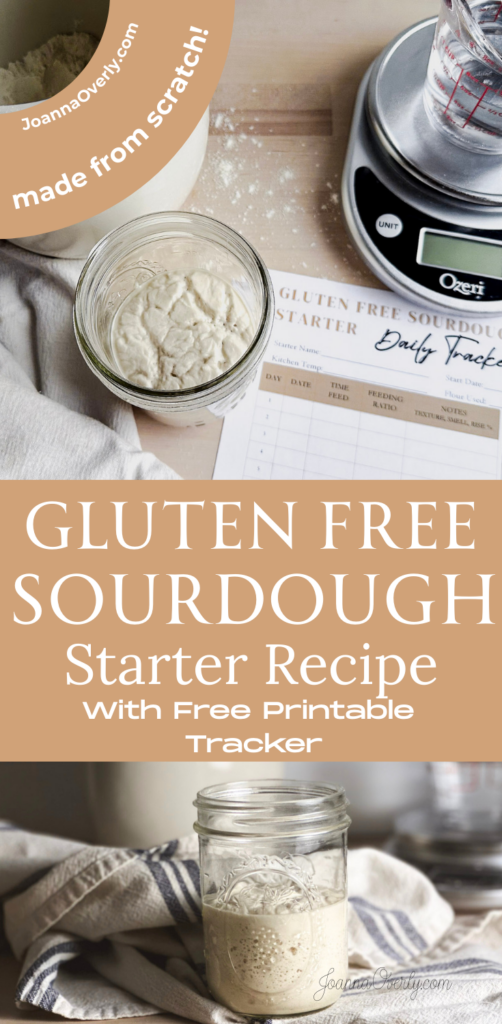 jars of gluten free sourdough starter on counter with a jar of water nearby and a container of brown rice flour