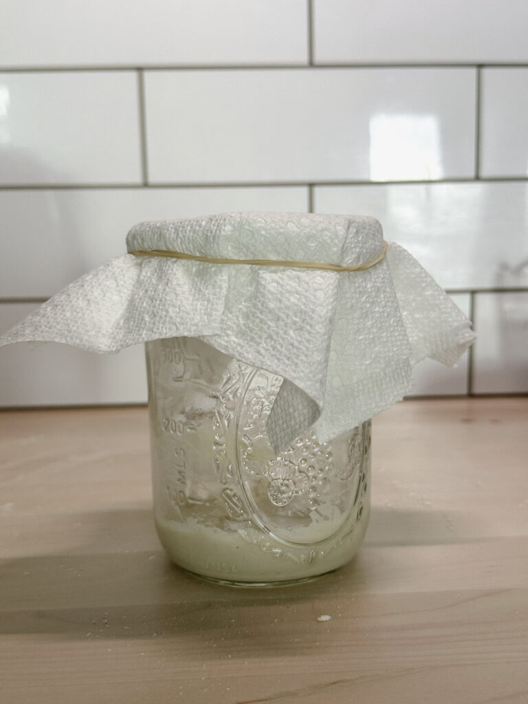 glass mason jar with new starter mixed up and covered with a paper towel and rubber band to seal it