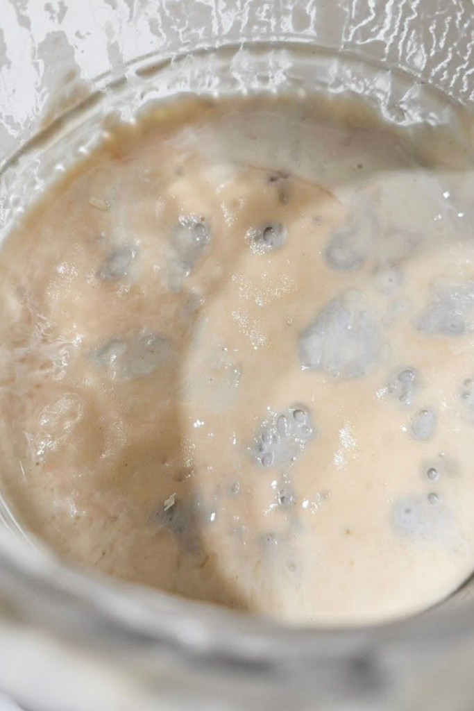 a jar of gluten free sourdough starter with gray patches of early mold growth