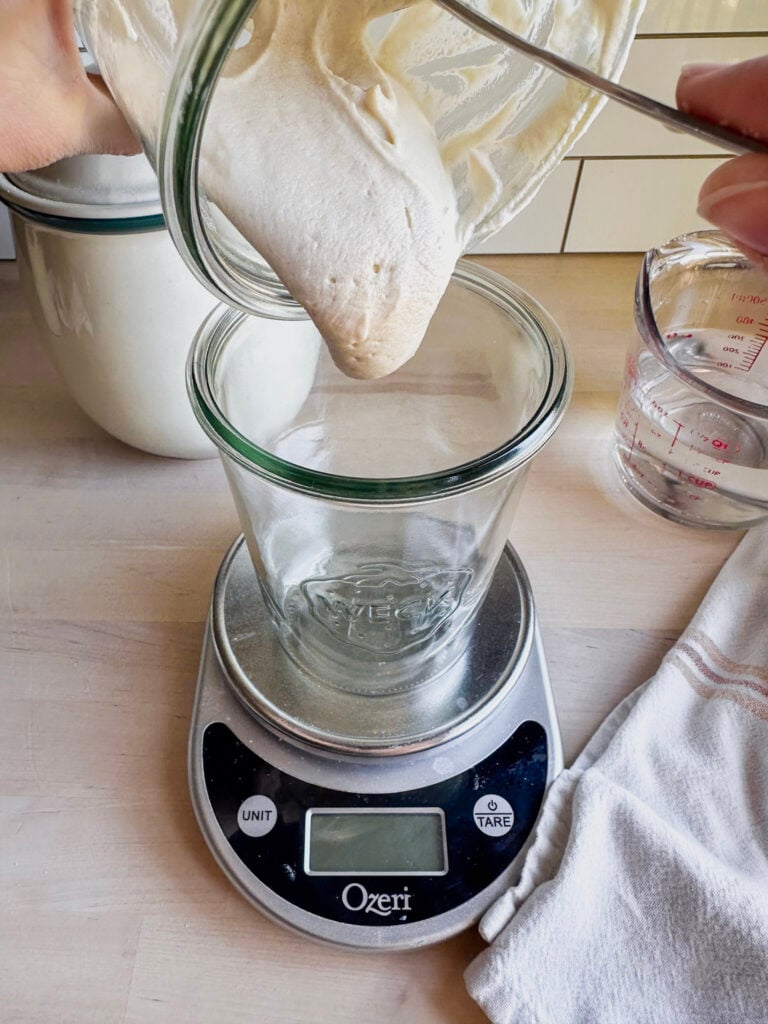 adding the feed and mixed starter to a new clean glass jar for storage