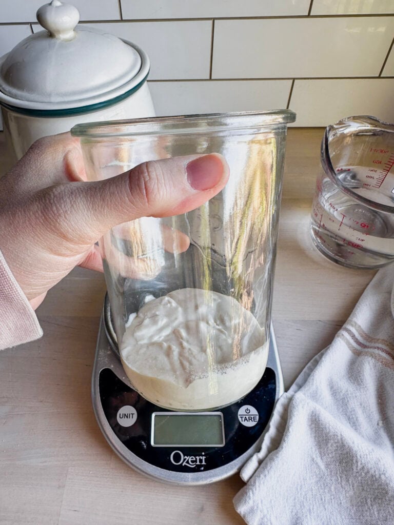 showing the glass jar to be free from excess starter on the inside sides of the jar