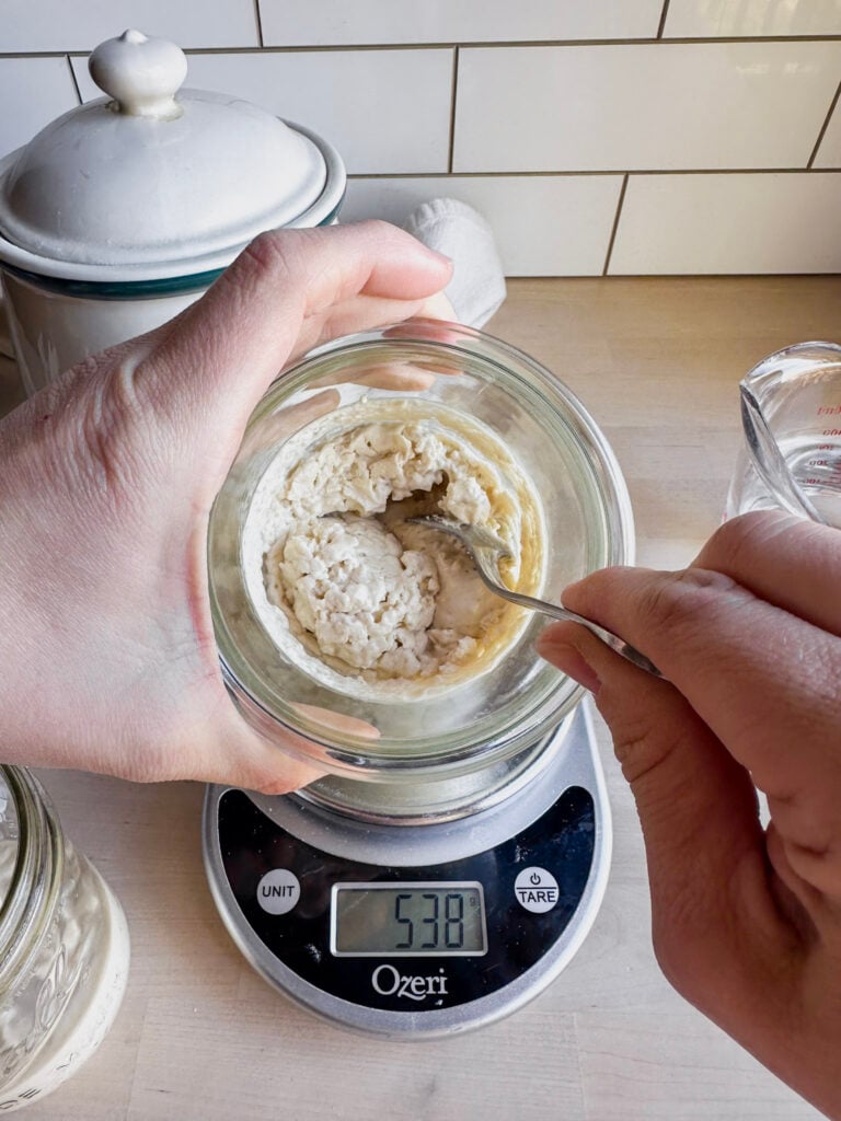 stirring down the gluten free starter 