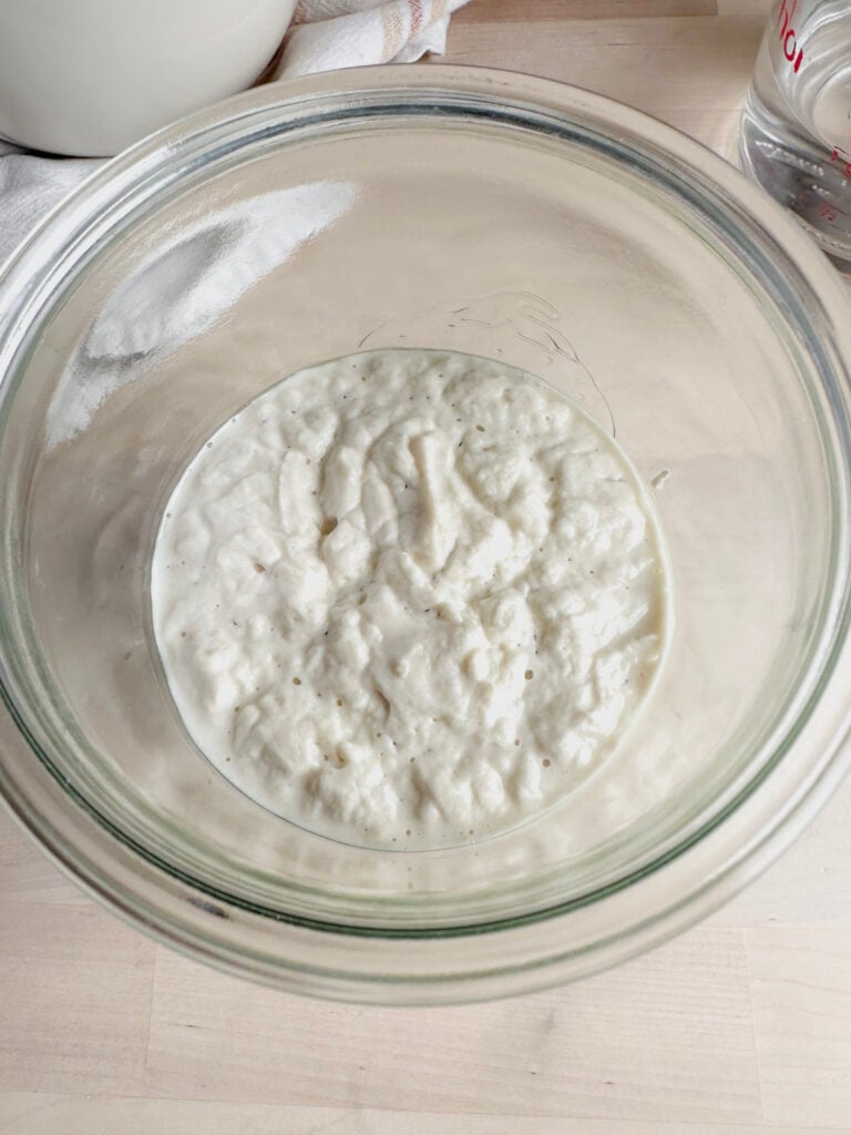 brown rice gluten free sourdough in a weck glass jar