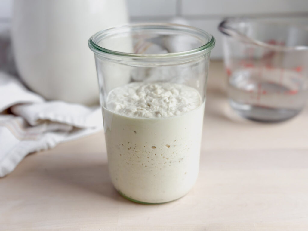 jar of active bubbly gluten free sourdough starter on counter