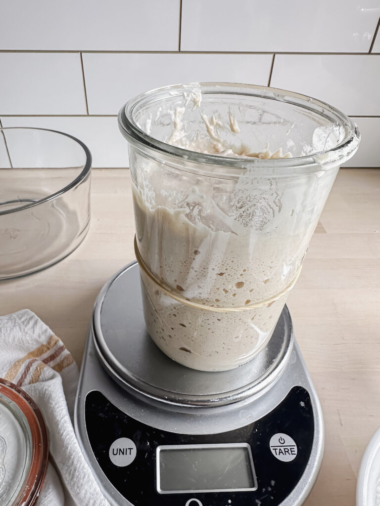 jar of gluten free sourdough sitting on kitchen scale with rubber band at about half way of the jar and starter bubbling up past it