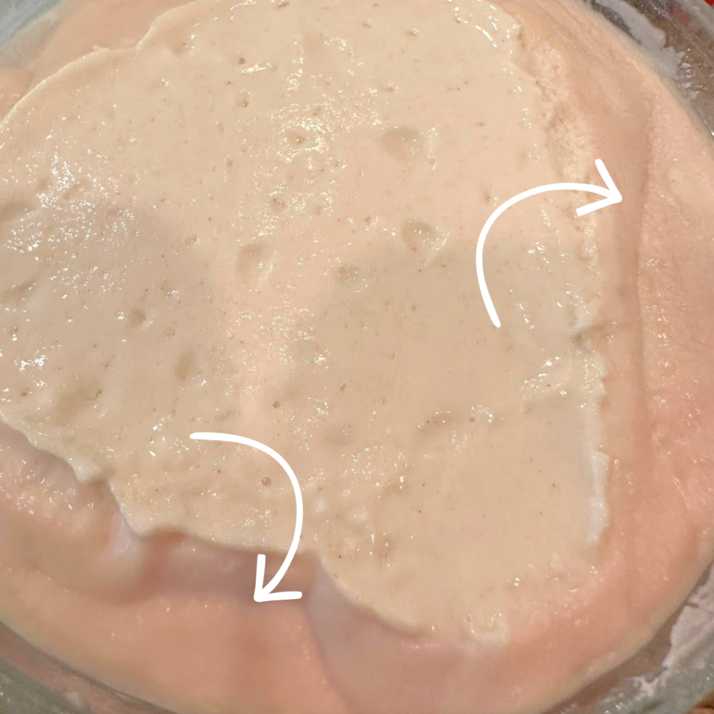 gluten free sourdough starter with pink or orange mold bacteria